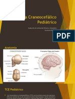 Trauma Craneocefálico Pediátrico