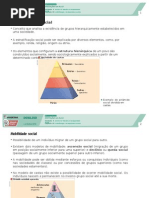 Sociologia em movimento 