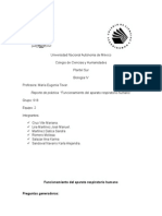 Funcionamiento Del Aparato Respiratorio Humano