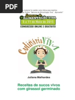 Receitas de Sucos Vivos Com Girassol Germinado Juliana Malhardes