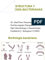 Estructura y morfología bacteriana