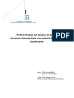 Perfil de Consultas Del Servicio de Urgencia SAPU P. Joan Alsina de San Bernardo. Tesis para Optrar Al Titulo de Master de Erika Garcia Madrid