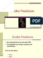 Ácidos_Nucleicos (2)