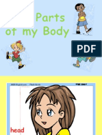 Parts of Body - Material