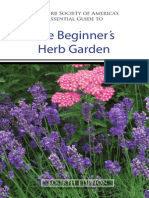 Beginners Herb Garden