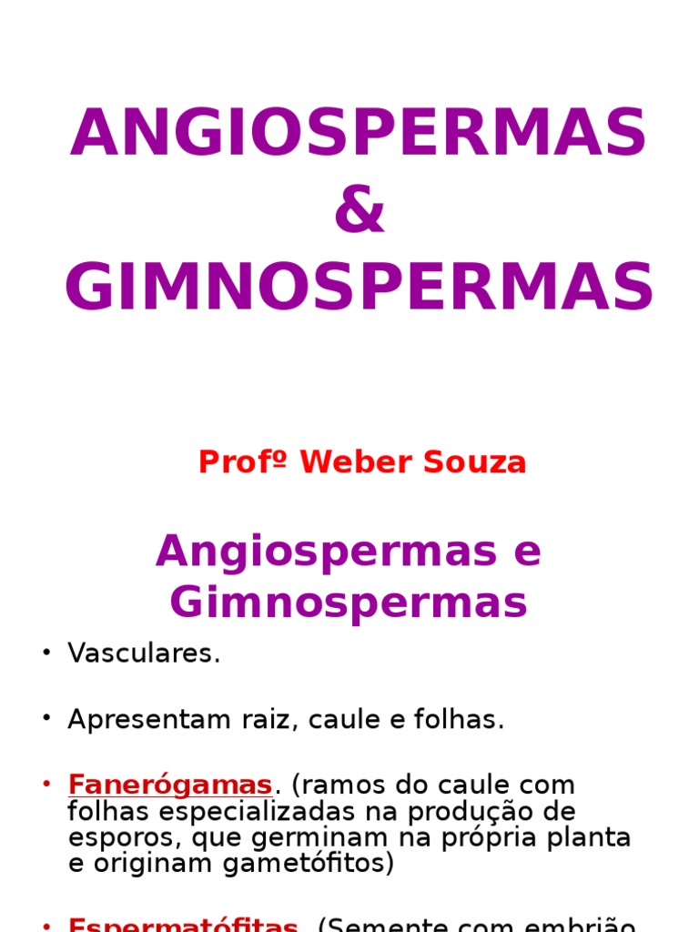 Angiospermas - Seminário Angiospermas