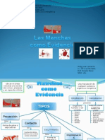 Las Manchas Como Evidencias-Tema 11