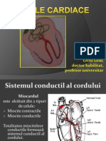 17Aritmiile cardiace.pdf