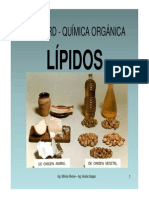 PDF Clase Lípidos 2013