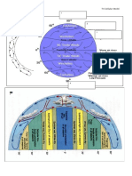 Tri Cellular Model