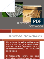 procesodelodosactivados-111019185309-phpapp02.pptx
