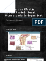 Kolagen Dan Elastin