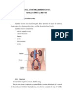 Anatomia Aparatului Excretor