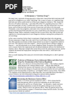 Gateway Theory Debunked