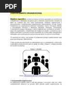Modulo 6 Comportamento Organizacional