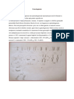 01. Scurt Istoric. Gametogeneza. Ovulatie. Fecundatie. Nidatie. Placentatia. Fiziologia Placentei