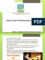 Practicas Profesionales V