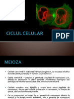 MEIOZA