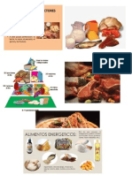 Clasificación de Los Alimentos