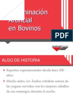 ai manual new logo 2013 spanish.pdf