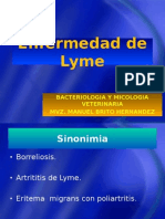 Enfermedad de Lyme