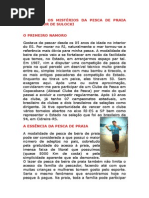 Vencendo Os Mistérios Da Pesca de Praia