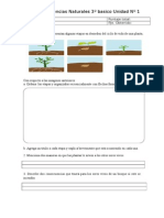 Evalaución Cs. Naturales Unidad Nº1