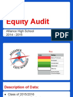 Equity Audit
