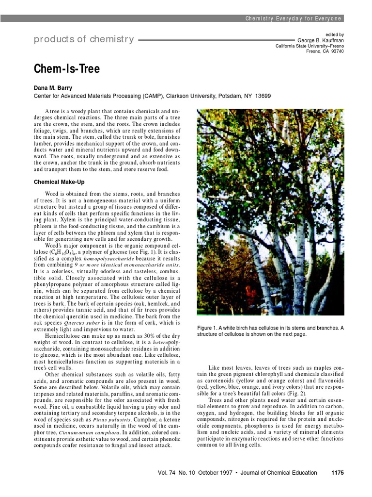 Chem Is Tree | PDF | Pulp (Paper) | Plant Stem