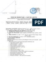 Tema de Proiectare - Caiet de Sarcini PDF