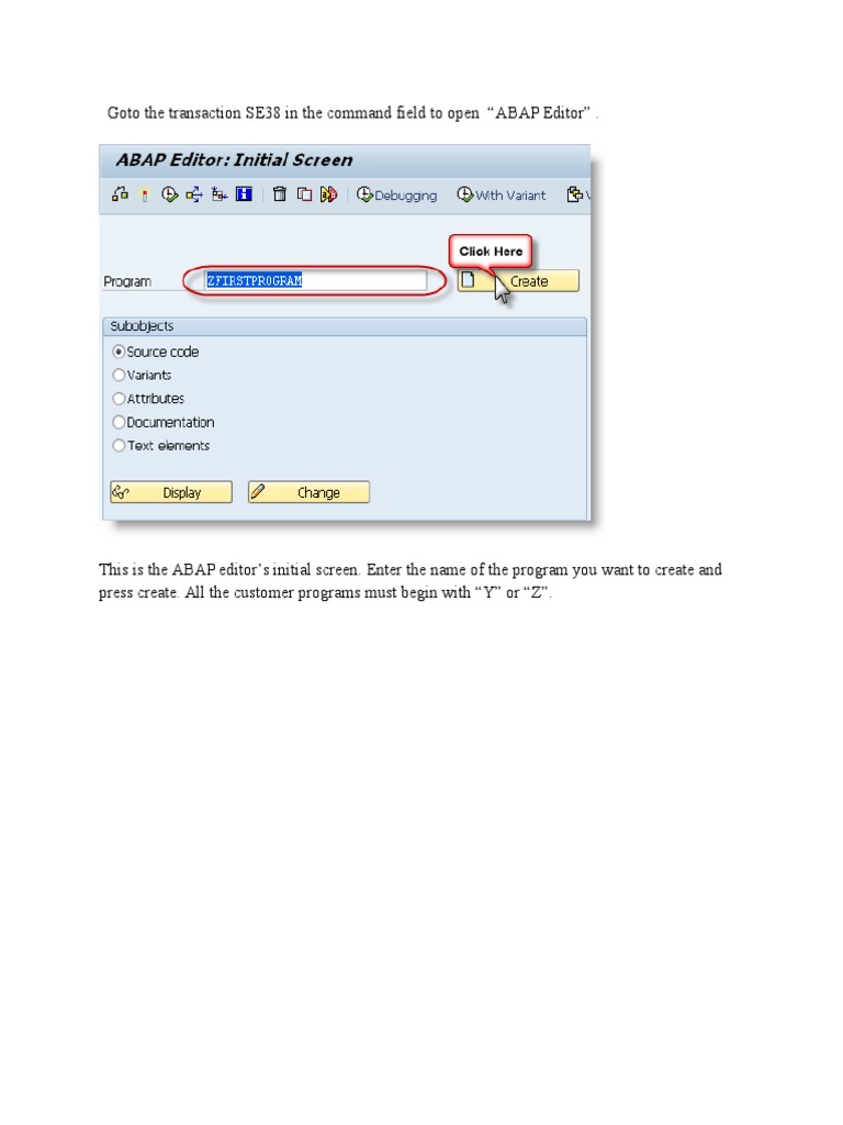 ABAP Program Creation Guide | PDF