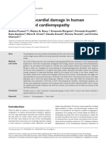 Oxidative Myocardial Damage in Human