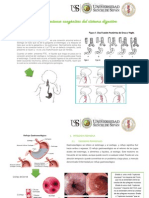 MALFORMACIONES-CONGENITAS 