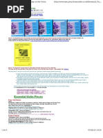 Download Best Pieces to Play on the Violin by Carlo SN264482441 doc pdf