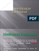 1.fiziopatologia Calusului