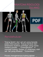 Anatomi Fisiologi Tulang
