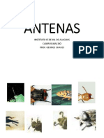 ANTENAS