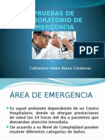 Pruebas de Laboratorio de Emergencia