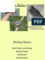 Birding Basics