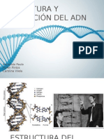 Estructura Del ADN