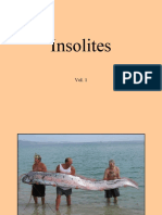 Insolites