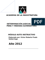 Determinacion Judicial de La Pena y Medidas Alternativas Amag 2012