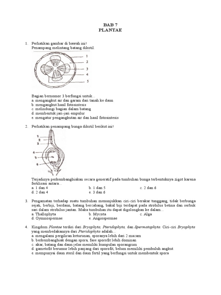 Bab 7 Plantae