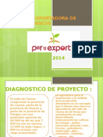 Presentacion de Proyecto Pro Export