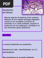 Quimica Organica Pdf