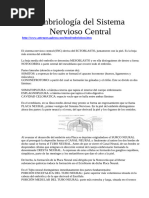 Embriologia Del Sistema Nervioso Central