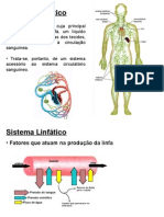 Sistema Linfático e Imunização