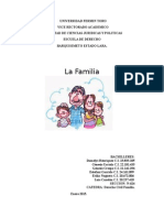 FAMILIA SUSTITUTA Y COLOCACION FAMILIARR.docx