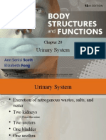 Urinary System Text Book