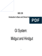 GI System
